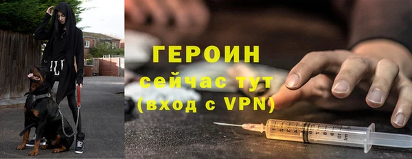 ПСИЛОЦИБИНОВЫЕ ГРИБЫ Богданович