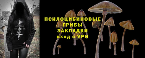 ПСИЛОЦИБИНОВЫЕ ГРИБЫ Богданович