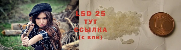 ПСИЛОЦИБИНОВЫЕ ГРИБЫ Богданович