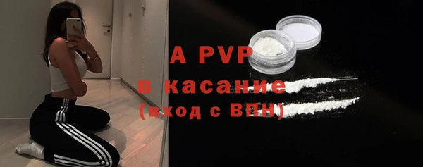 ПСИЛОЦИБИНОВЫЕ ГРИБЫ Богданович