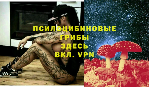 ПСИЛОЦИБИНОВЫЕ ГРИБЫ Богданович