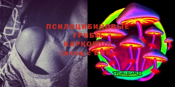 кокаин Белокуриха
